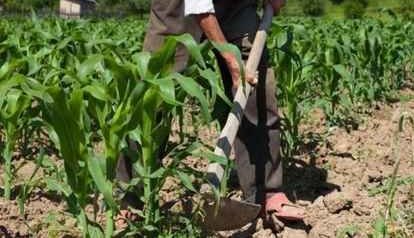 INSS debaterá modificações das regras para requerer benefício rural na próxima segunda